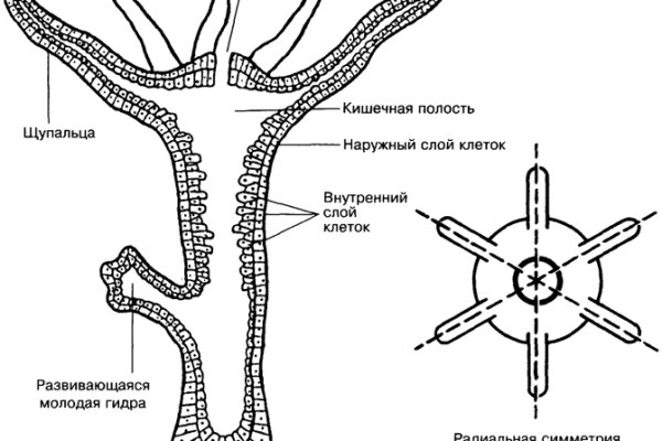 Кракен маркет плей